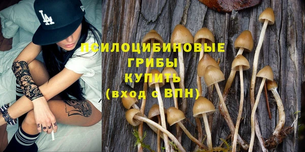 ALPHA PVP Армянск
